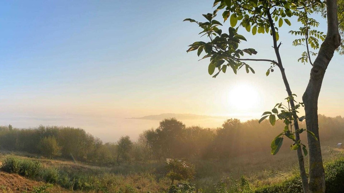 Saint-Etienne-au-Mont House | Saint Etienne au Mont: 2 km from the sea, near Boulogne Sur Mer, house for 5 people.
