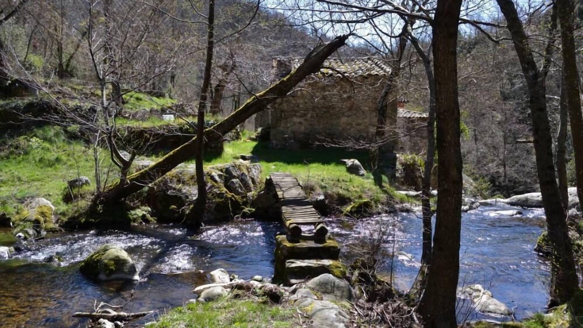 Saint-Julien-Labrousse Cottage | Saint Julien Labrousse: Country Cottage /Gite - Saint Julien Labrousse