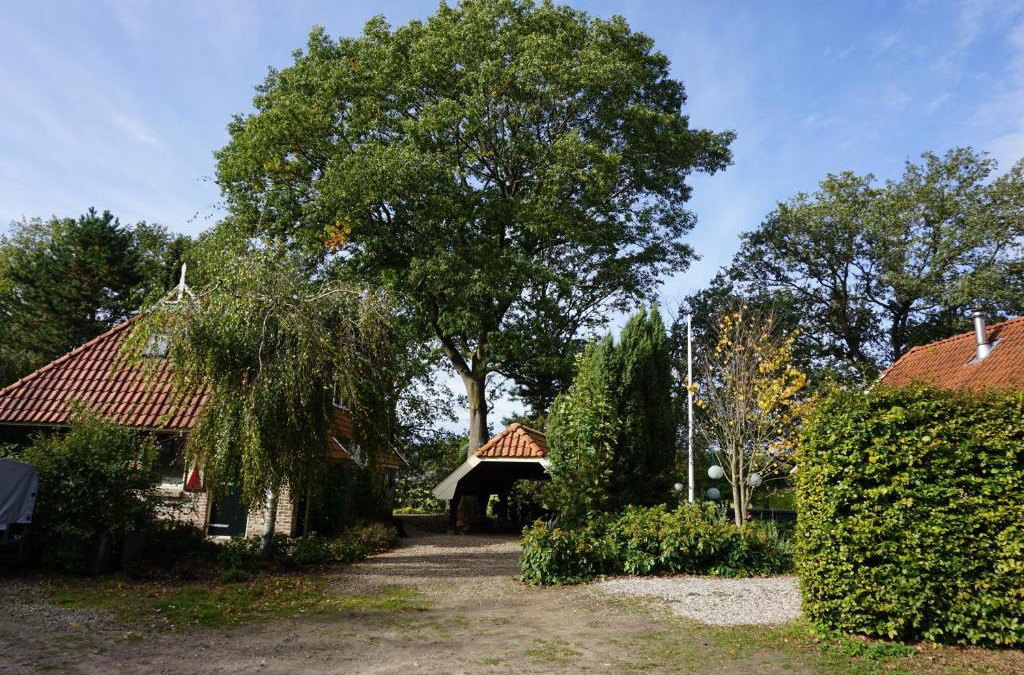 Eibergen House | Saksisch Boerderijtje
