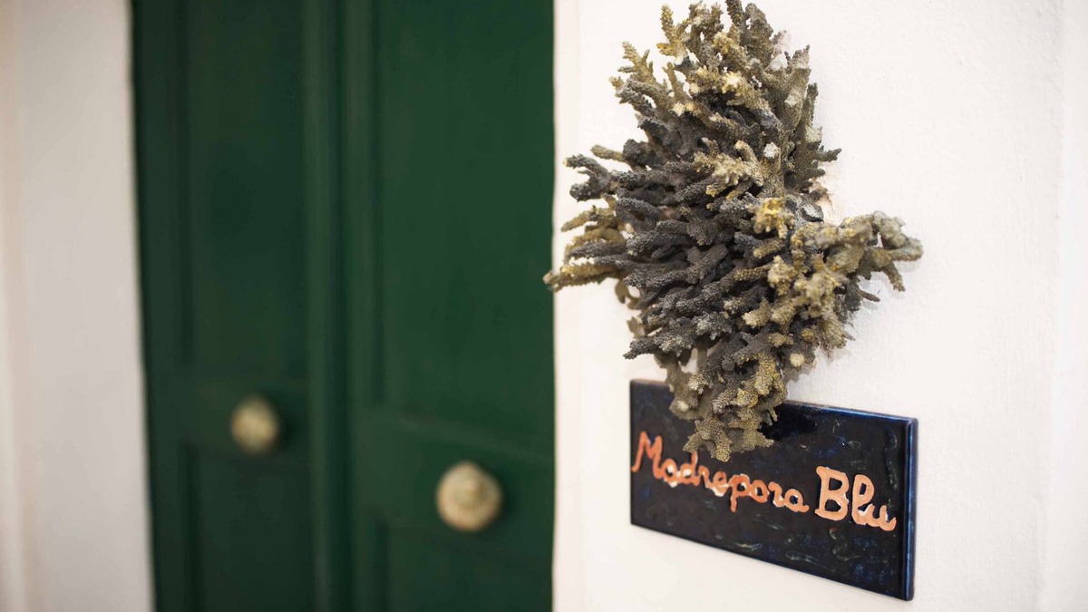 Gallipoli Historic Center Apartment | Salapolis Designer Apartment in the center of Gallipoli's old city