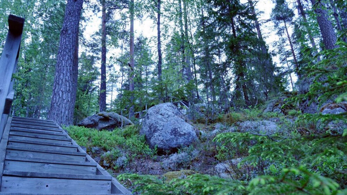 Orivesi Cabin | Salkolahti Tontti
