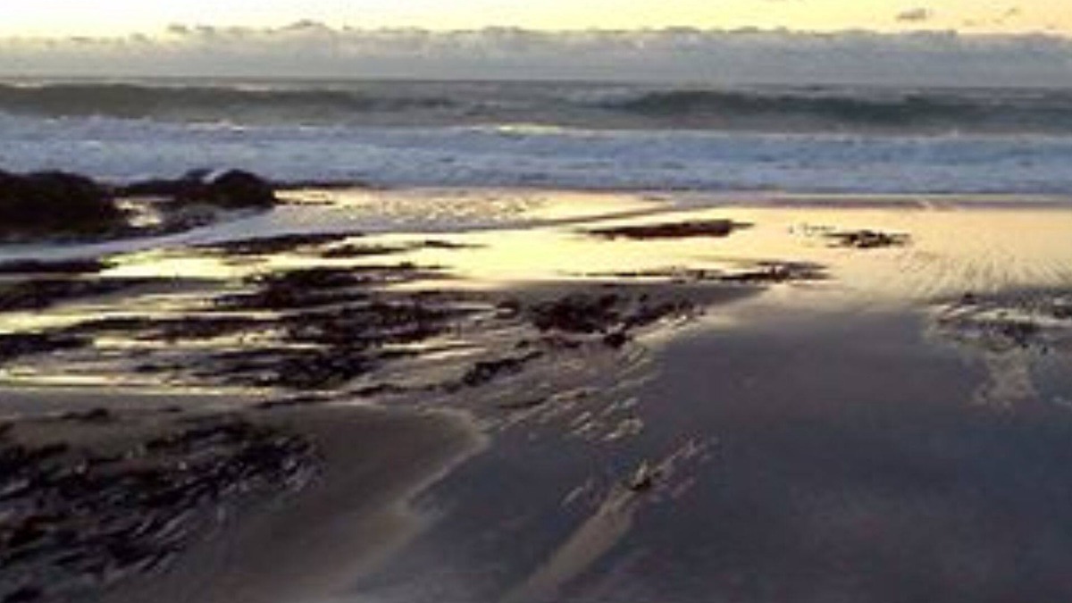Lincoln City Bed & Breakfast | Salmonberry Inn & Beach House