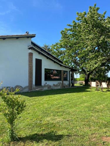 Nepi Villa | Salomonio hill