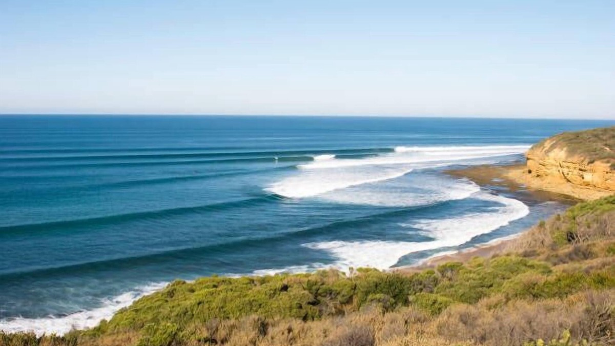 Torquay Apartment | Saltbush Oasis: Sunny Parkside Getaway