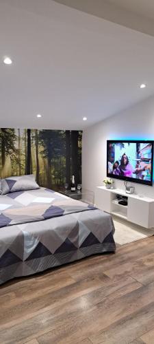 Stari Banovci Apartment | SAMITEST