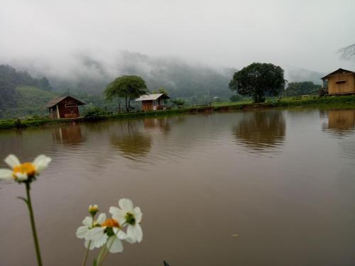 Samoeng Other | Samoeng fishing park home stay