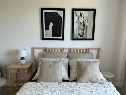 Samorin Apartment | Samorin XBS view apartman plus parking