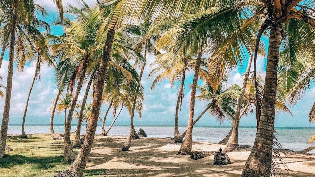 Carti Tupile Boat Rental | San Blas Private Sailboat - Island Hopping