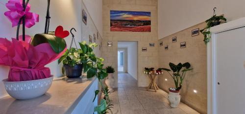 Cavallino House | San Giorgio Rooms