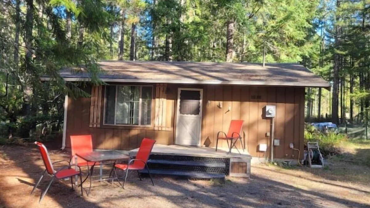 Hoodsport Cabin | San Gregorio - A Cozy & Dog Friendly Forest Retreat