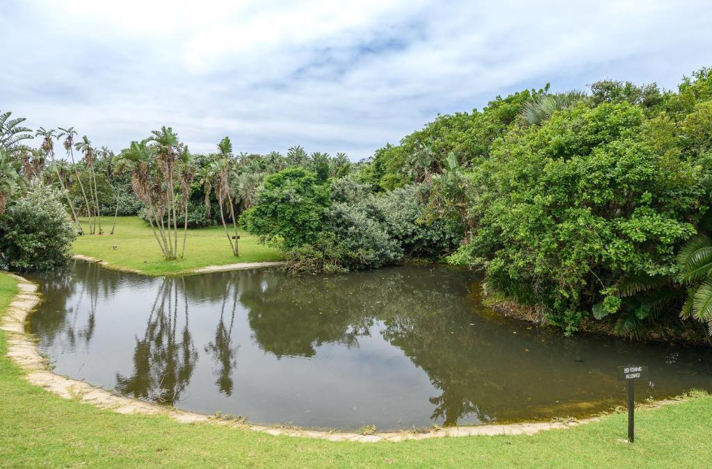 San Lameer Apartment | San Lameer Villa 3311 - 2 Bedroom Classic - 4 pax - San Lameer Rental Agency