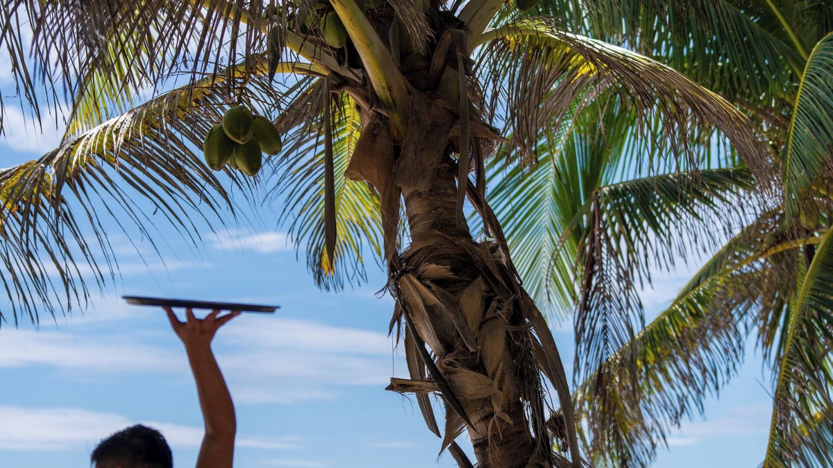 Zona Hotelera Hotel | Sana Tulum Beachfront Boutique Hotel