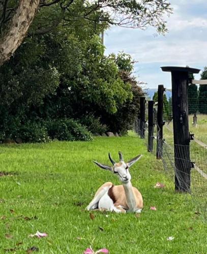 Magaliesberg House | Sanctuary life guest farm