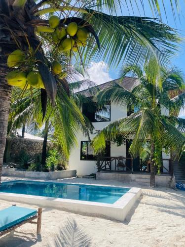 Bwejuu Beach Apartment | Sand Beach Boutique Apartments