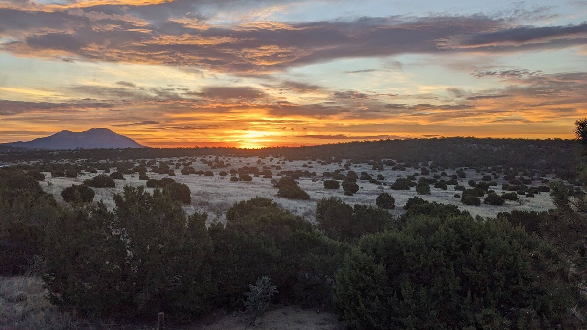 Zuzax House | Sandia Serenity Mountain Ranch Home - 20 minutes from downtown Albuquerque.