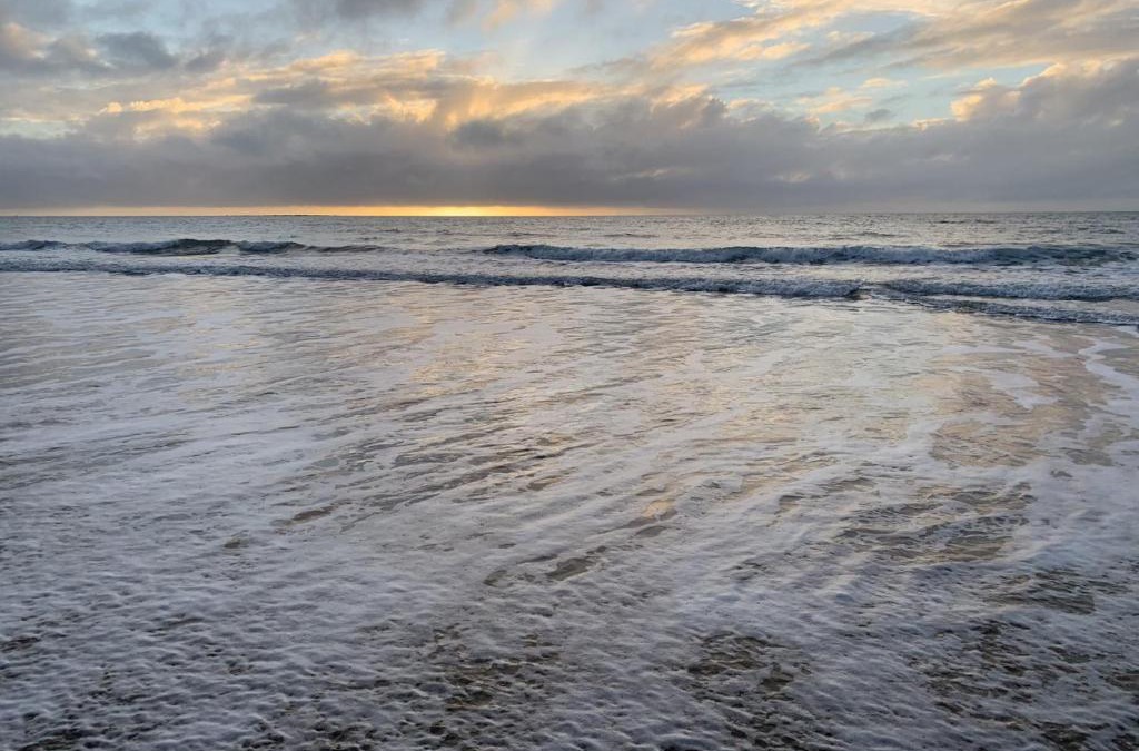 Sarina Beach Hotel | Sandpiper Motel
