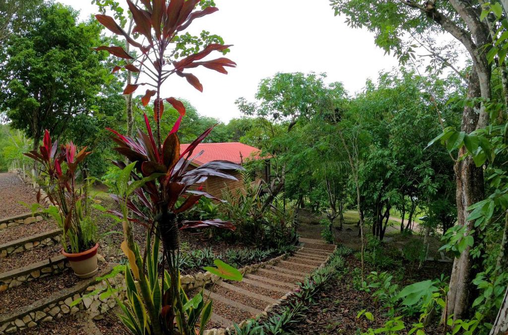 Santa Elena Bed & Breakfast | Santa Cruz Cabins