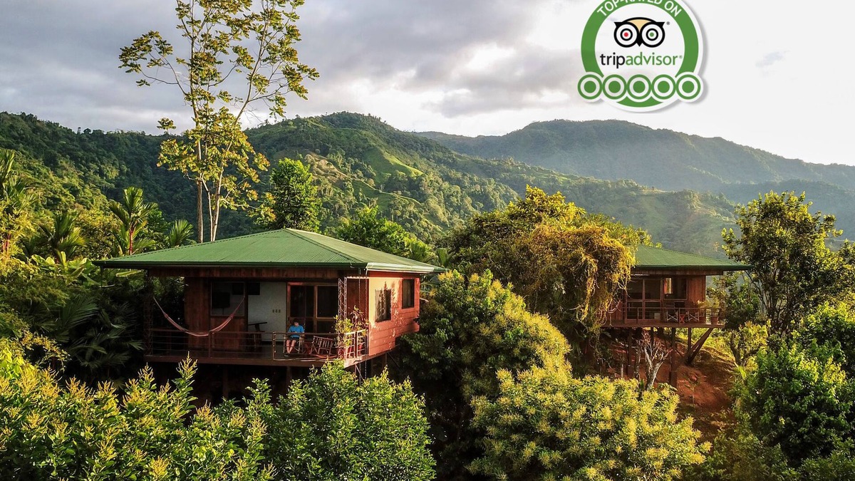 Naranjito Cabin | Santa Juana Lodge and Nature Reserve