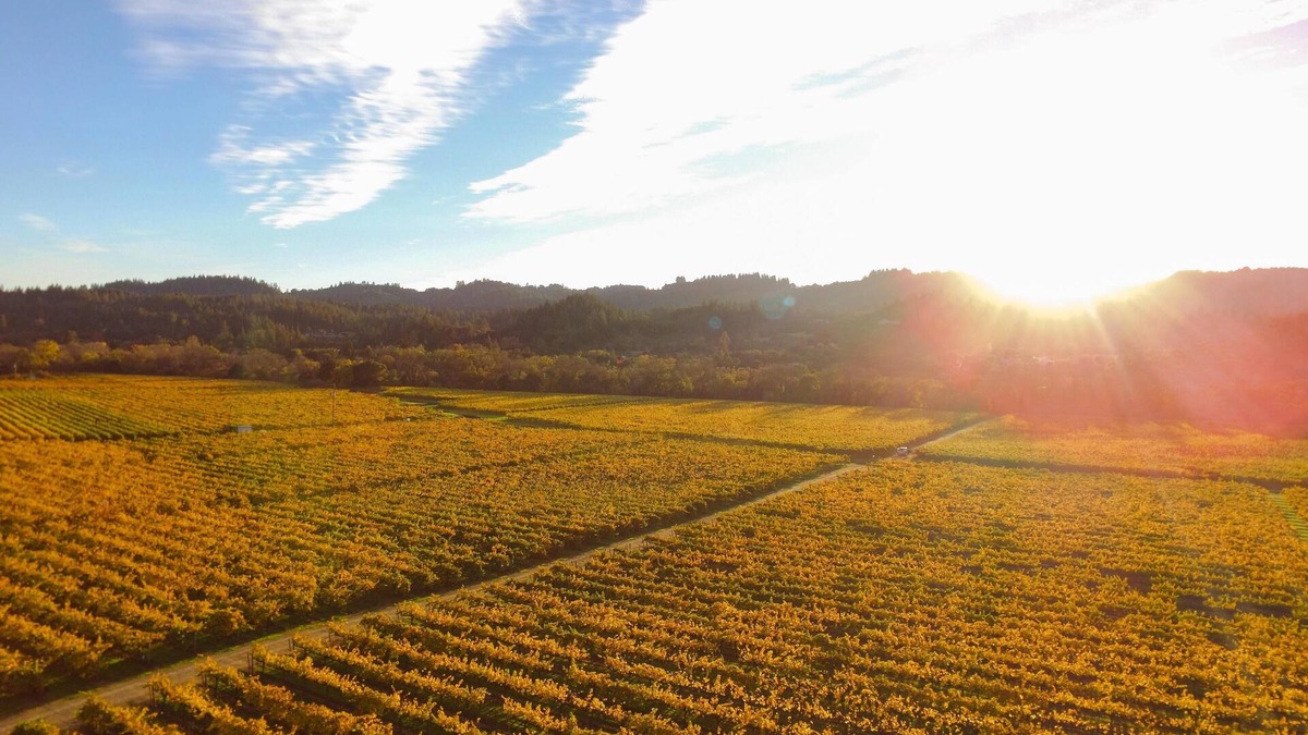 Healdsburg Cottage | Santini Farmhouse | A Wine Country Escape