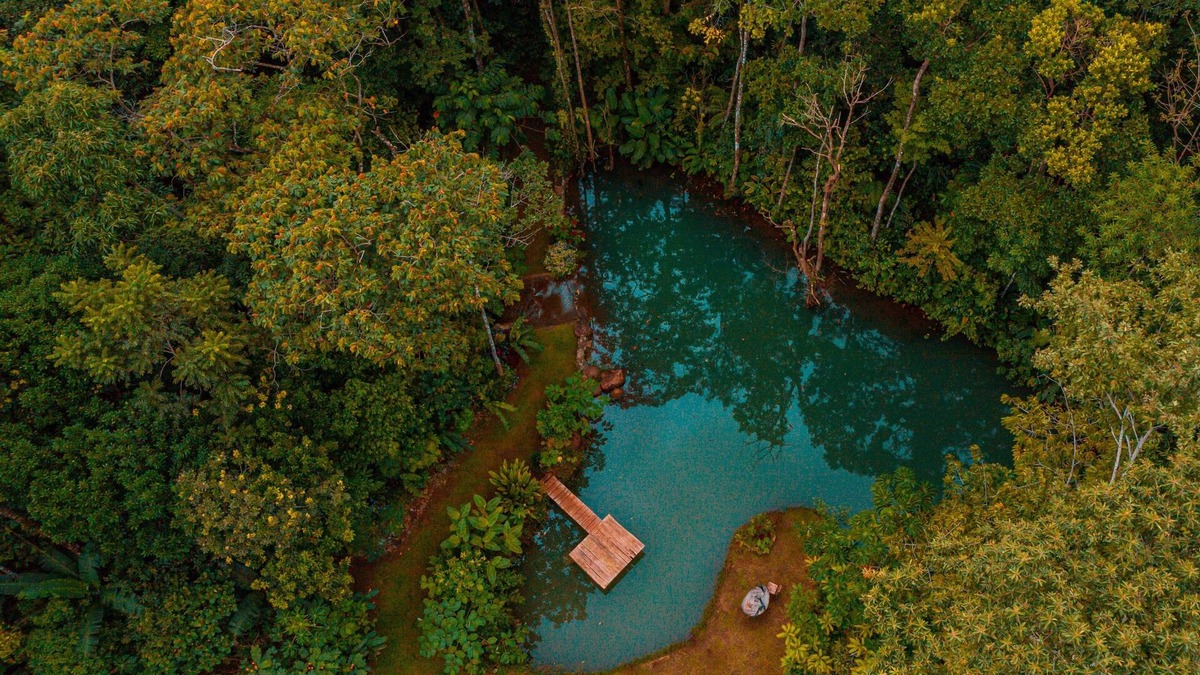 Barrio Pilo House | Santuario De Ranas, Valle Azul