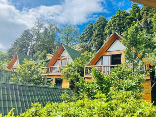 Sa Pa Cabin | Sapa Pine Hill Eco Lodge