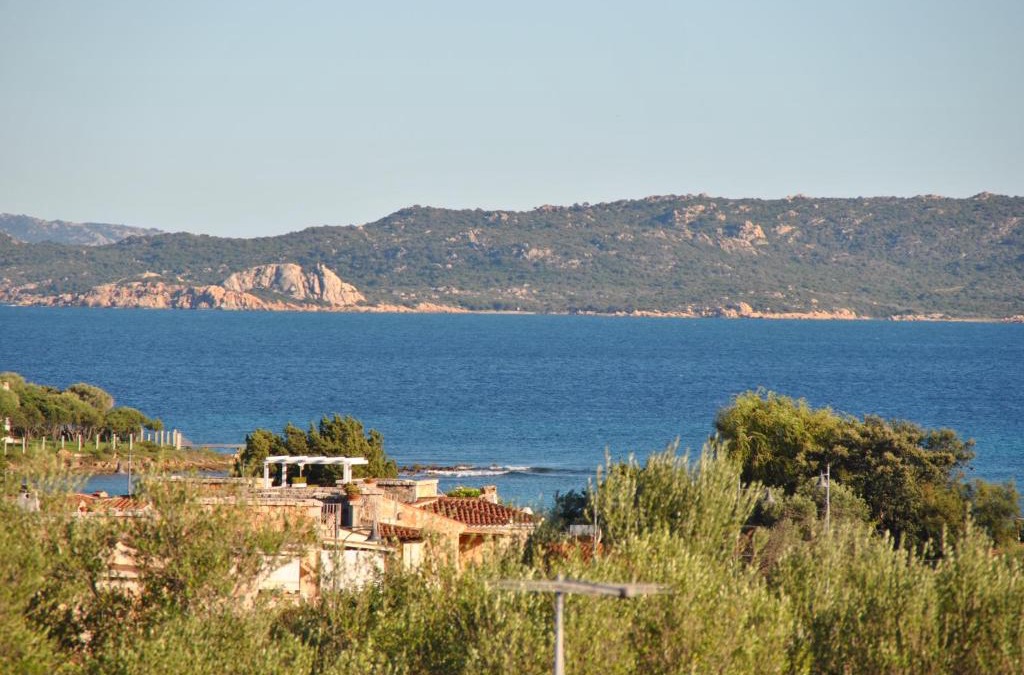Pittulongu Apartment | Sardegna Pittulongu