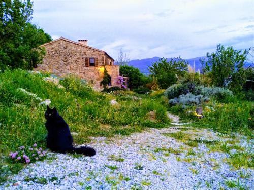 Secchiano Bed & Breakfast | Sasso Erminia R&B Ecosostenibile