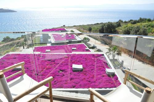 Cesme Hotel | Sato Design Hotel