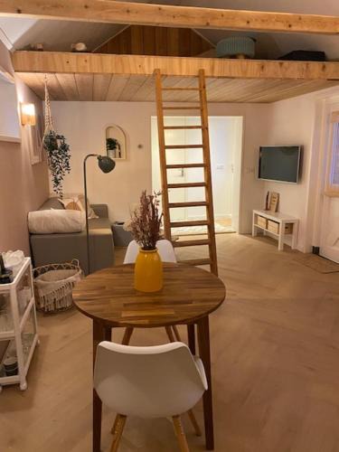 Municipality of Ameland Apartment | Sauke Jaap