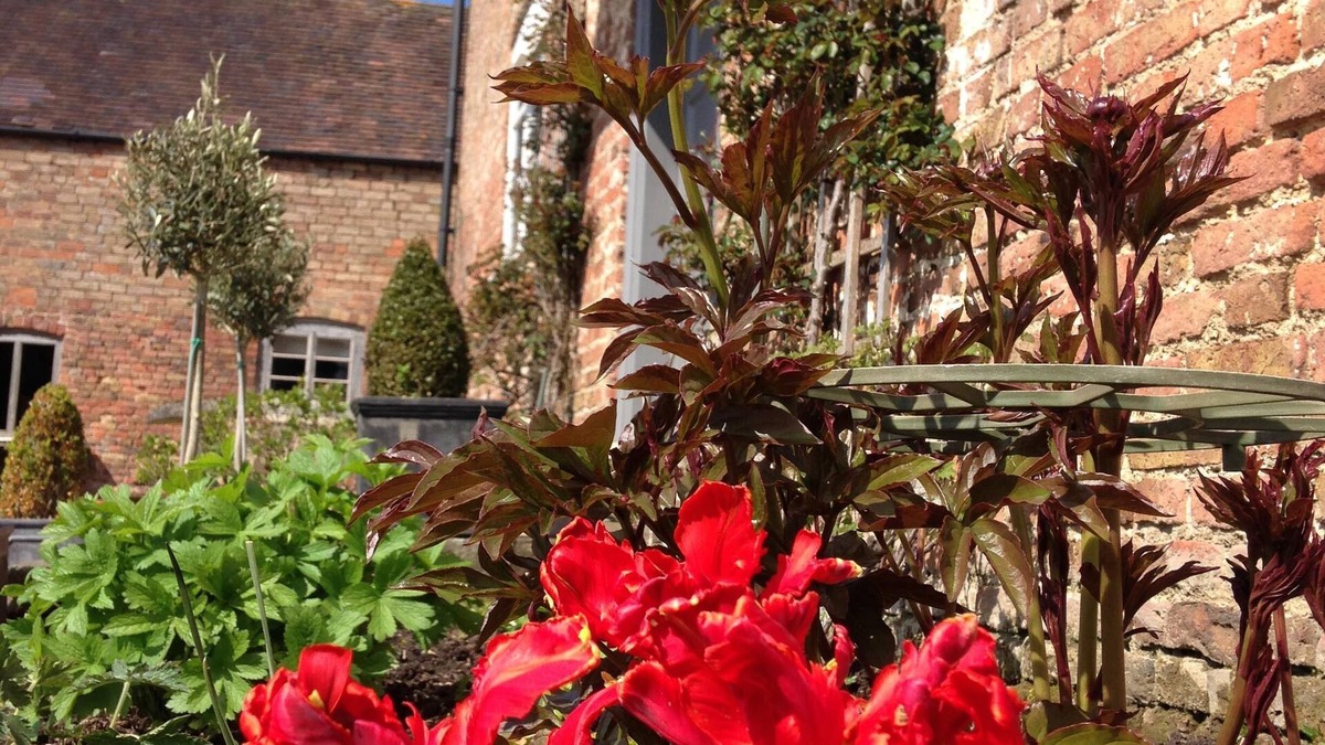 Saul Bed & Breakfast | Saul Farm