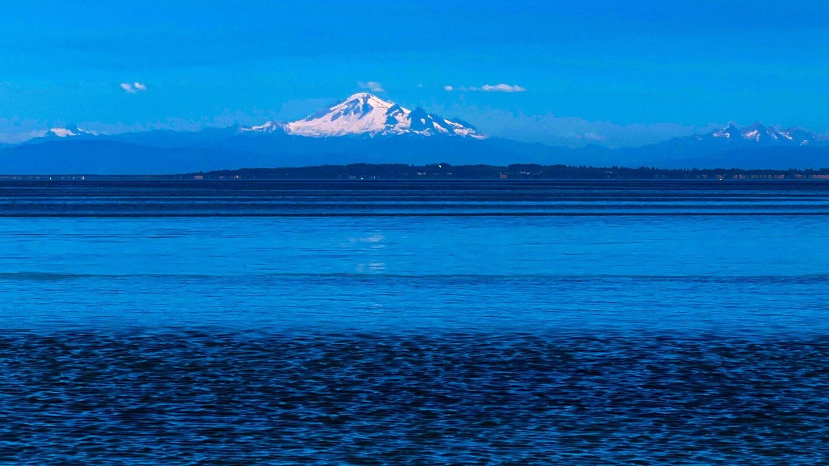 Tsawwassen House | Sauna, Steam, Beach, Indoor & Outdoor Fireplace, Golf, Squash& Shop