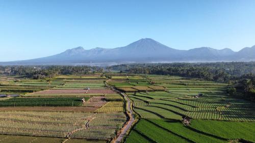 Lombok Villa | Sawah Homestay