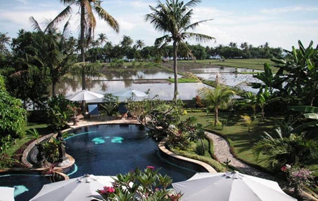 Lovina Resort | Sawah Lovina