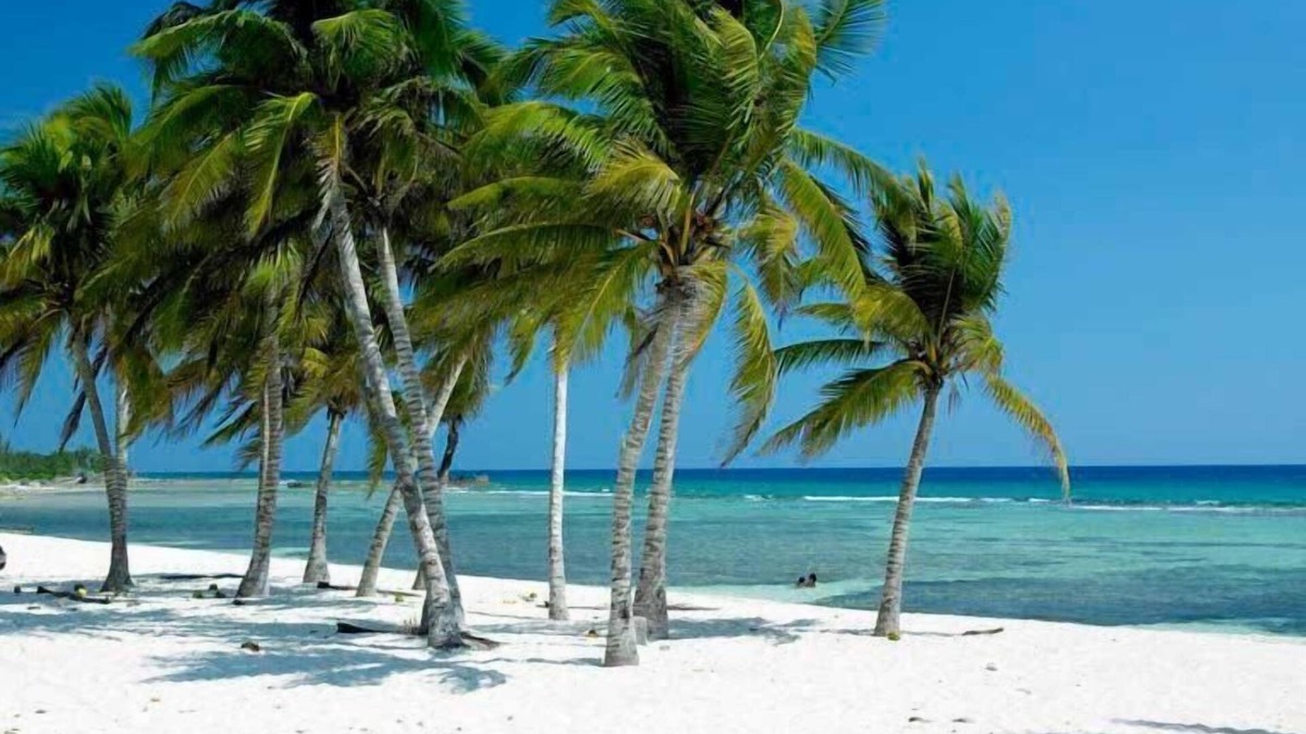 Municipality of Cienaga de Zapata Bed & Breakfast | SB Hostal Oasis