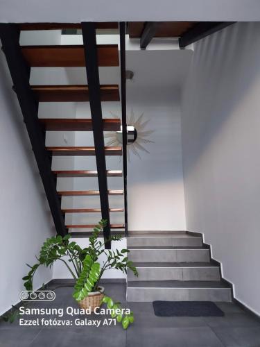 Backa Topola Apartment | Scala Studio Apartments