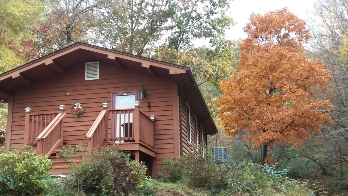 Marion Cabin | Scenic cabin near Hungry Mother, Mount Rogers, and Grayson Highlands Parks