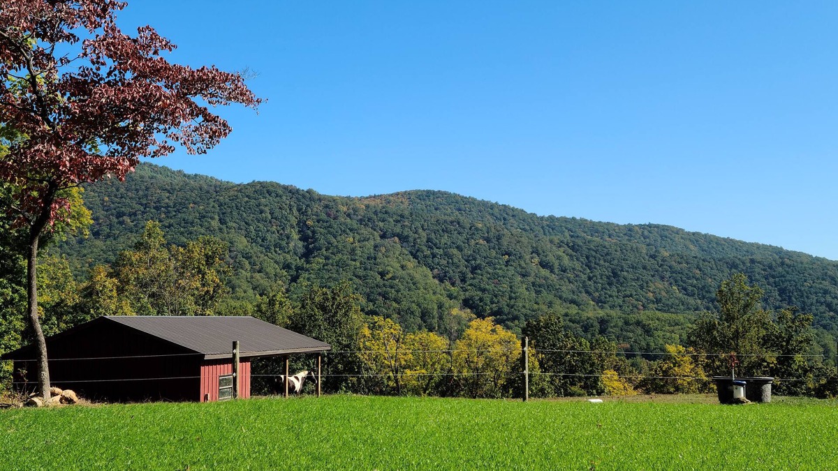 Hood House | Scenic mountain getaway with a firepit and amazing views of mountains and horses