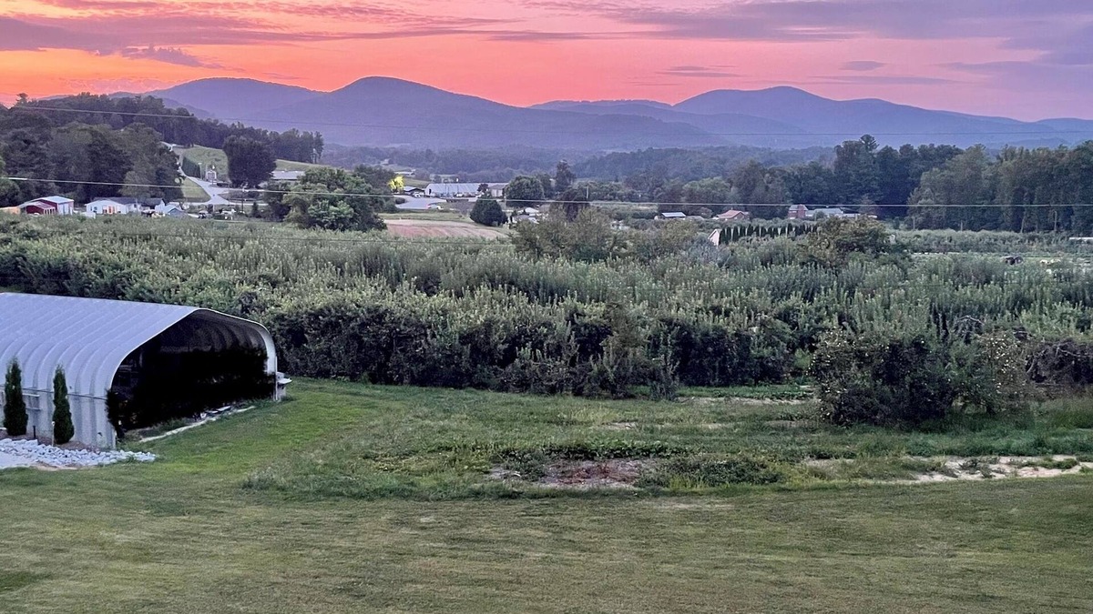 Hendersonville Apartment | Scenic Serenity in the heart of Apple Country