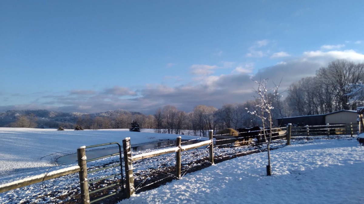 Woodbine House | Scenic View - this farm has it all!