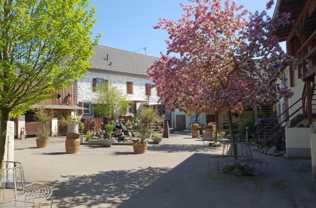 Munstermaifeld Apartment | Schöne Wohnung Kleiner Onkel auf idyllischem Reiterhof nahe Burg Eltz