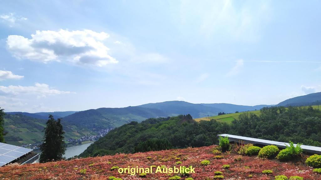 Mainz-Bingen Apartment | Schau-Rhein#2 - on Top of Bacharach, Rhineview