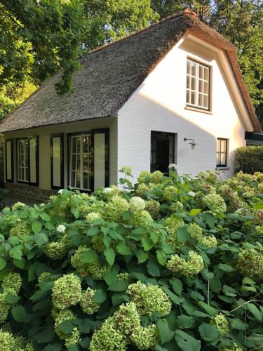 Schilde House | Schilde Cottage