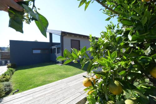 Schinias Villa | Schinias beach villa
