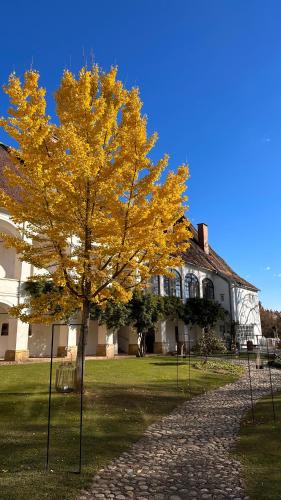 Welten Apartment | Schloss Welsdorf