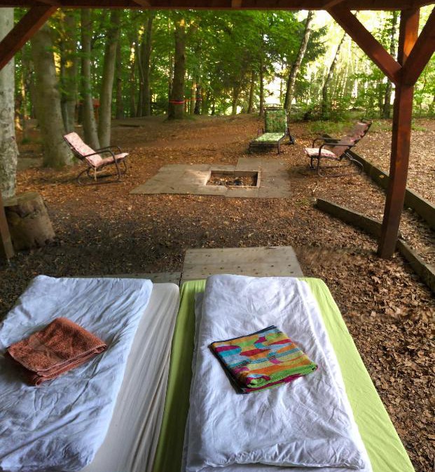 Potzwenden Other | Schwedischer Shelter unter Buchen