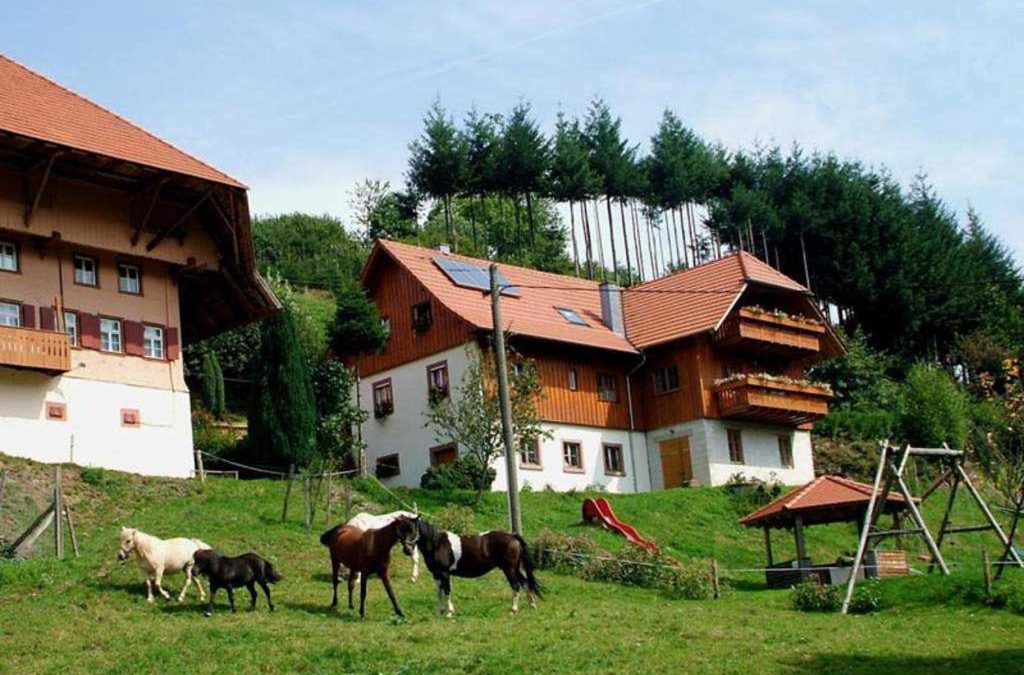Schuttertal House | Schwoererhof