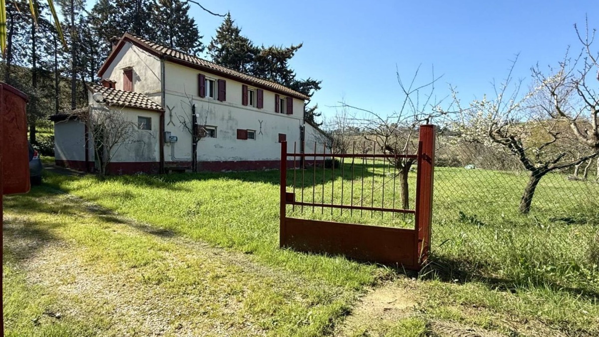Bettolelle Apartment | SE143 - Senigallia, farmhouse surrounded by green hills