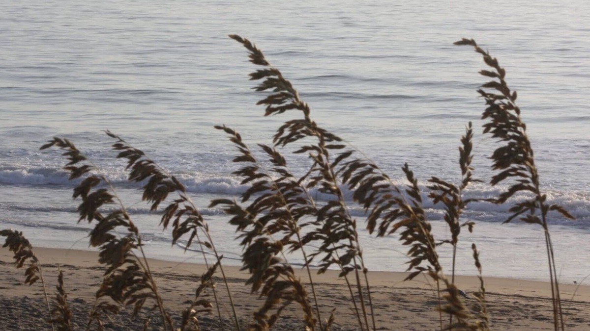 Southern Shores Cottage | Sea Breezes North - Just Steps To The Beach!