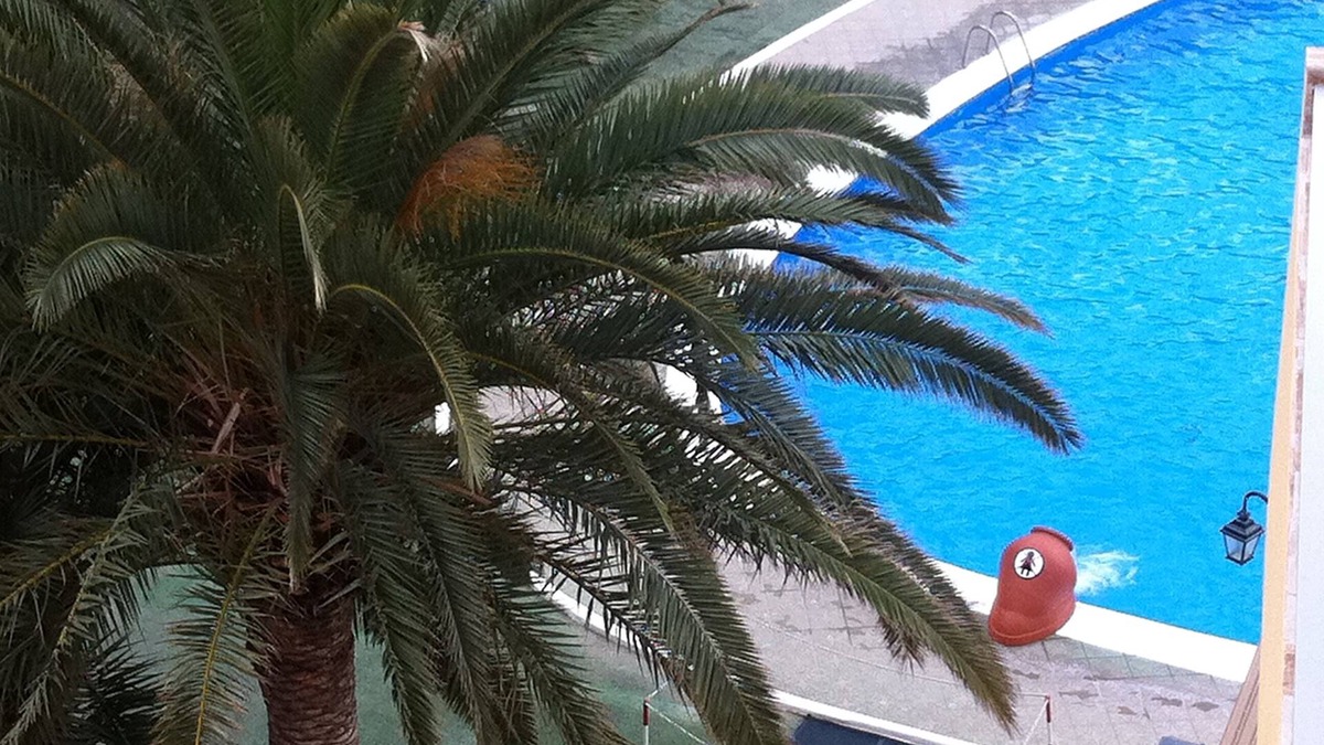 Los Cristianos Apartment | Sea Front 1 Bedroom apartment