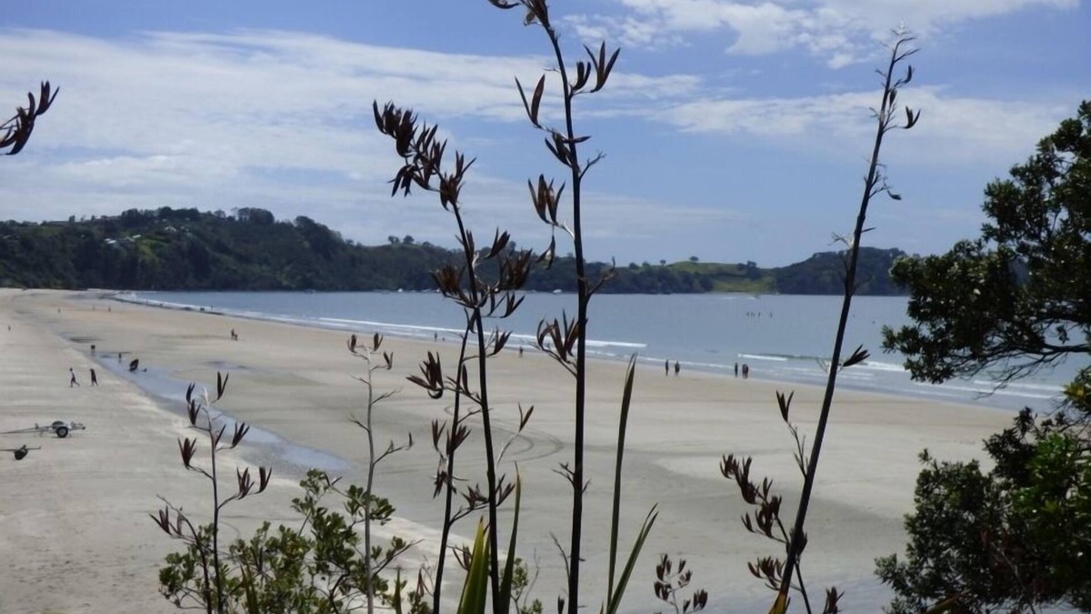Onetangi Apartment | Sea La Vie - Luxury Accommodation